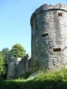 Castle Ruin Altratzenried