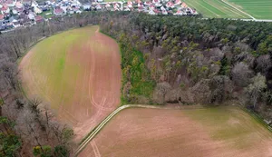 Burgstall Bürglein