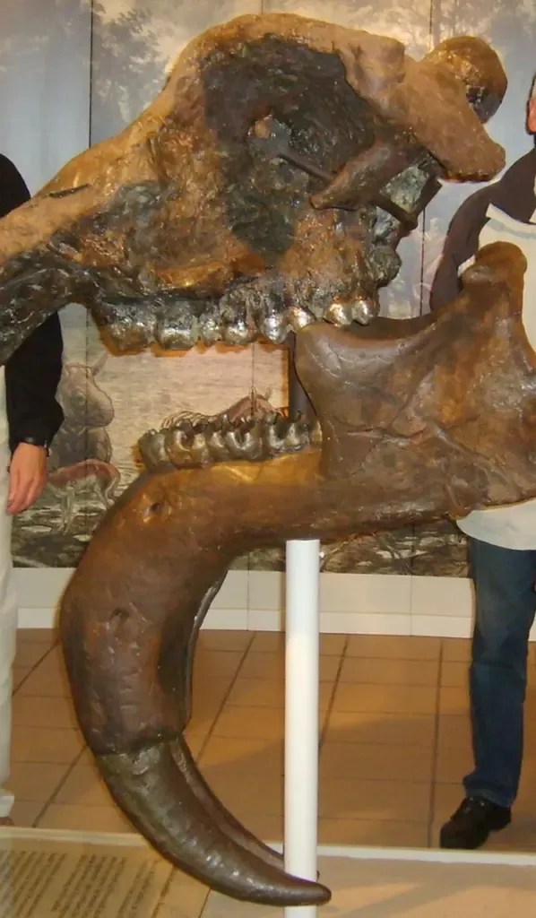 Dinotherium-Museum