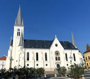 Our Lady of the Assumption Cathedral, Kaposvár