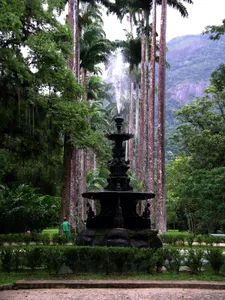 Rio de Janeiro Botanical Garden