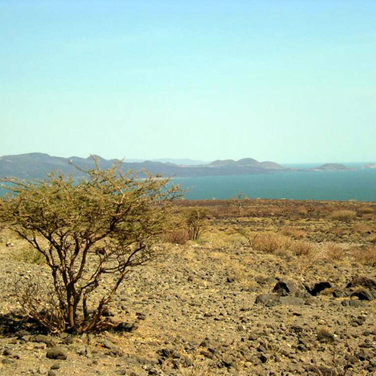 Lower Valley of the Omo
