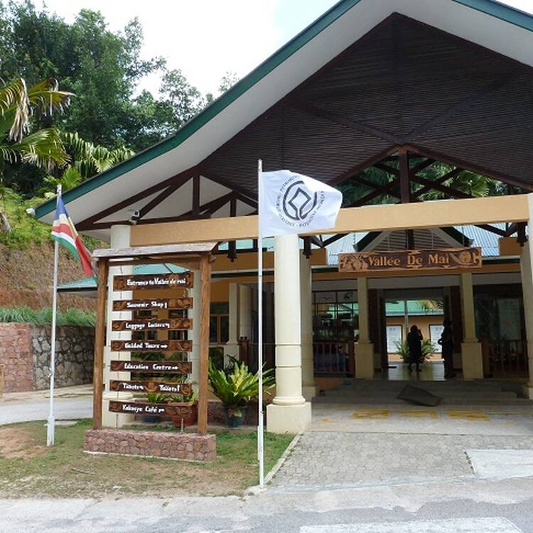 Vallée de Mai Nature Reserve