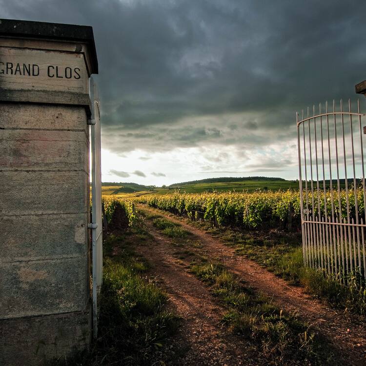 The Climats, terroirs of Burgundy
