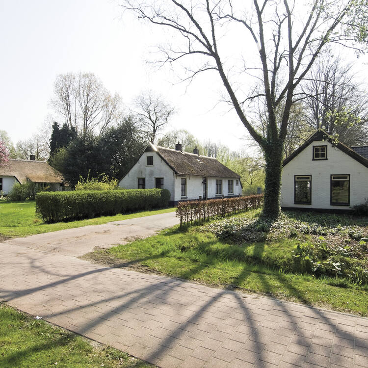 Colonies of Benevolence