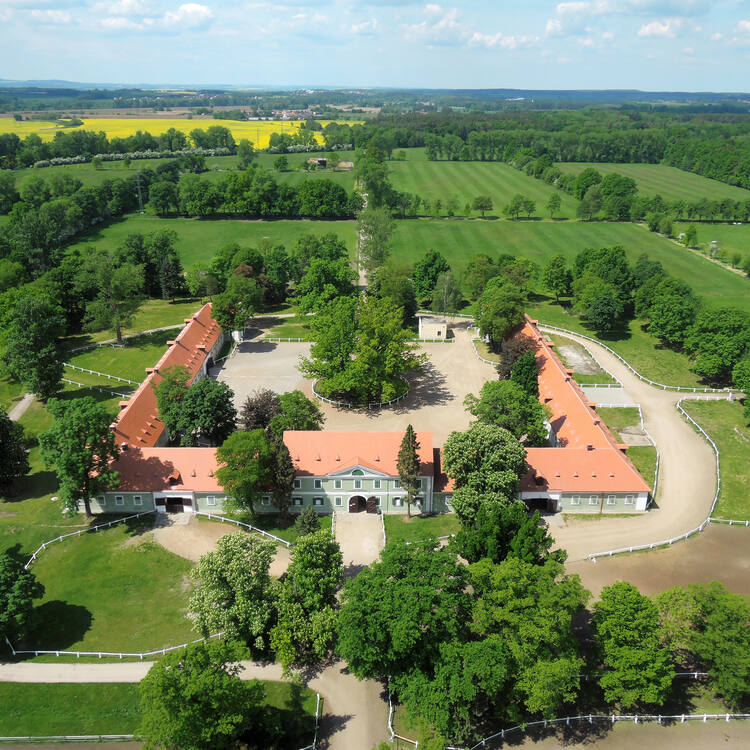 Landscape for Breeding and Training of Ceremonial Carriage Horses at Kladruby nad Labem