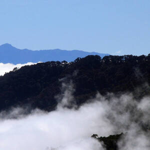 Talamanca Range-La Amistad Reserves / La Amistad National Park