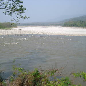 Manas Wildlife Sanctuary