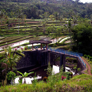 Cultural Landscape of Bali Province: the Subak System as a Manifestation of the Tri Hita Karana Philosophy