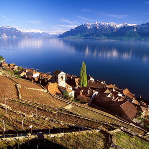 Lavaux, Vineyard Terraces