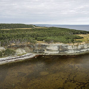 Anticosti